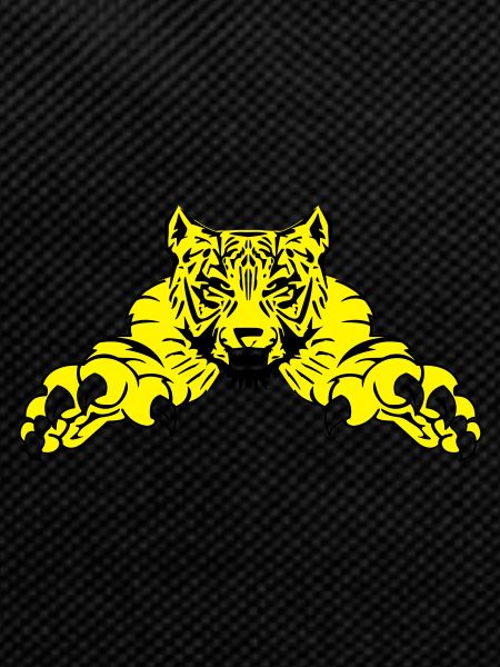 tiger attack