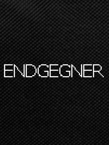 Endgegner