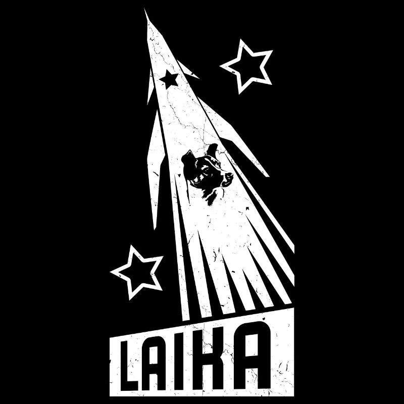 Laika Rocket USSR Soviet Communism Laika Gagarin