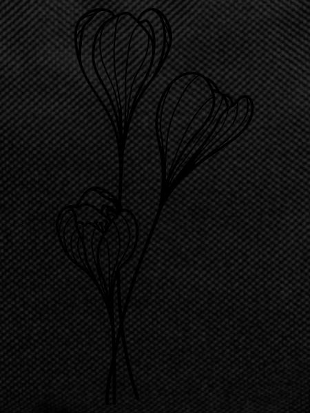 simple wildflower