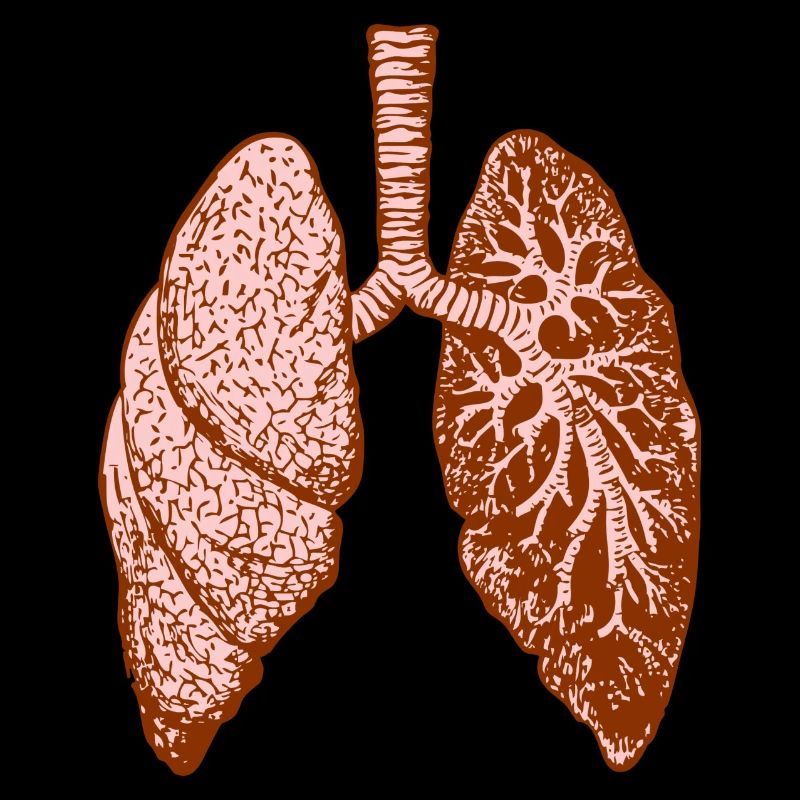 Lung: O