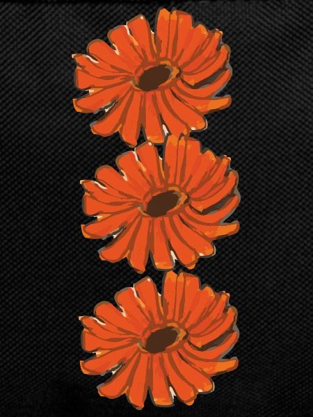 calendula marigold