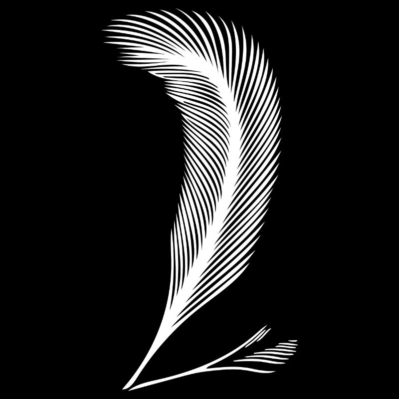 Feather handwriting as an expression of character