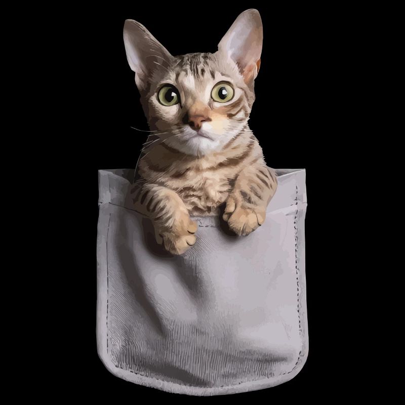 Cornish Rex Katze in der Tasche Geschenk
