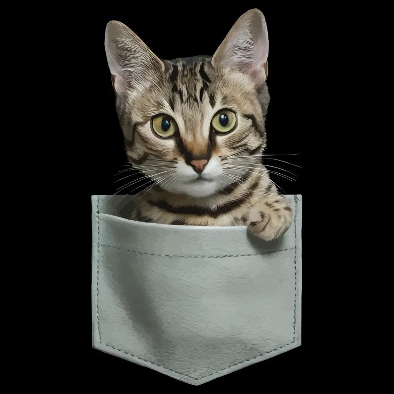 Ocicat-Katze in der Tasche Geschenk
