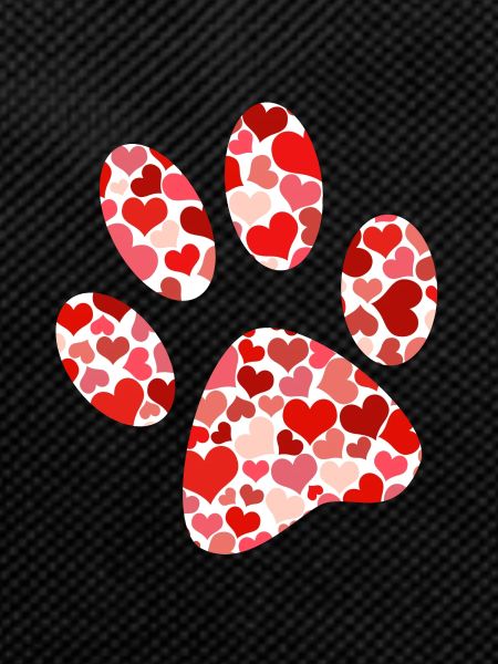 paw