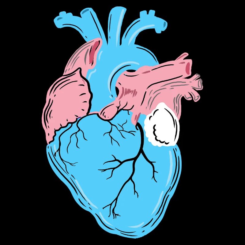 Trans Pride Heart