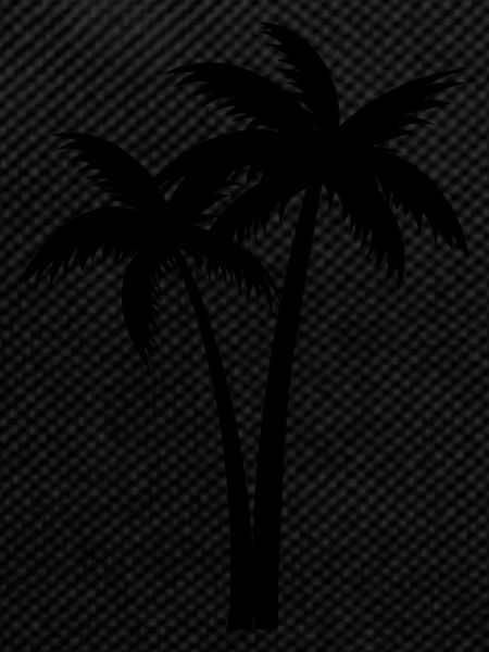 Palm Beach Vacances