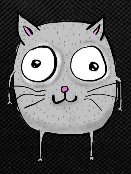Funny cat