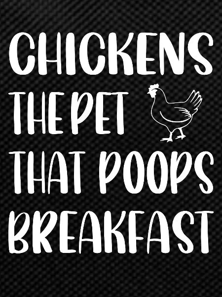 Chickens The pet pooping breakfast -