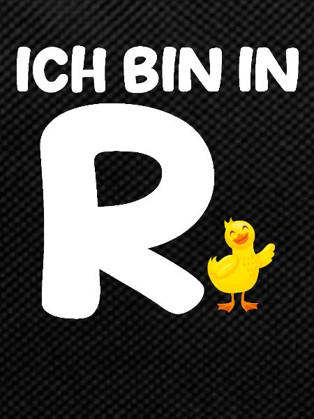 Pensioner Retirement Pension Pension Duck