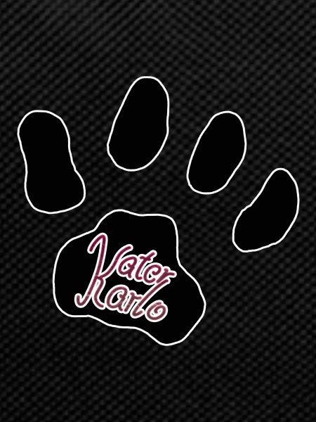 Logo tomcat Karlo paw