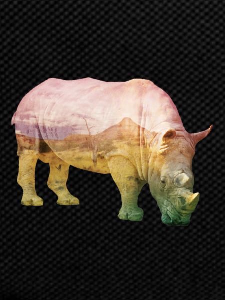 Nashorn