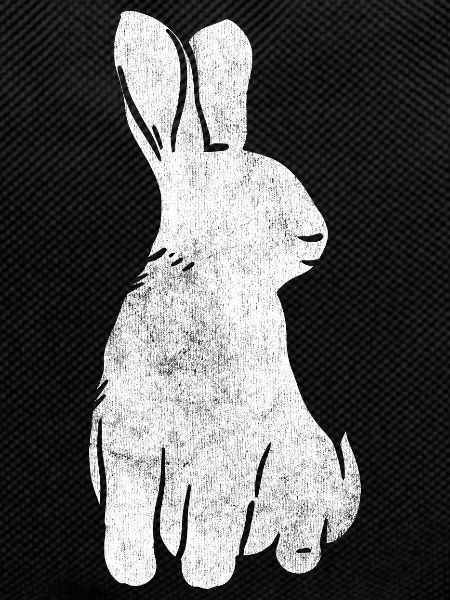 Lapin lapin lapin