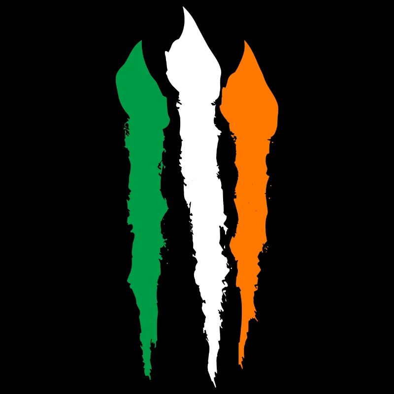 Drapeau de l’Irlande Vintage drapeau irlandais Dublin