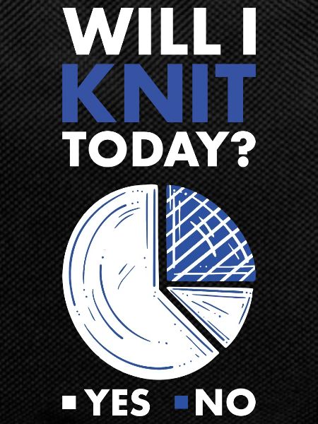 Knitter Will I Knit Today
