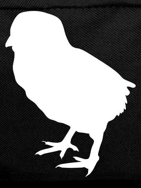 Küken