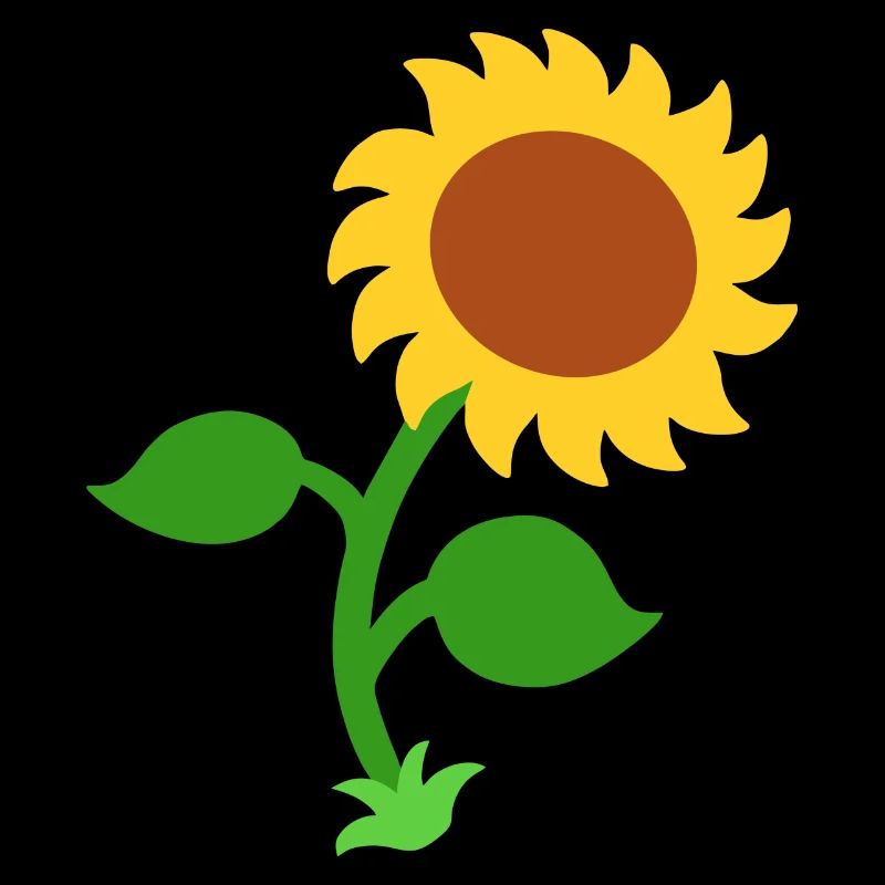 Sonnenblume