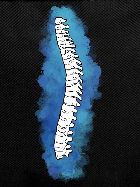 Physiotherapist Chiropractor Physiotherapy