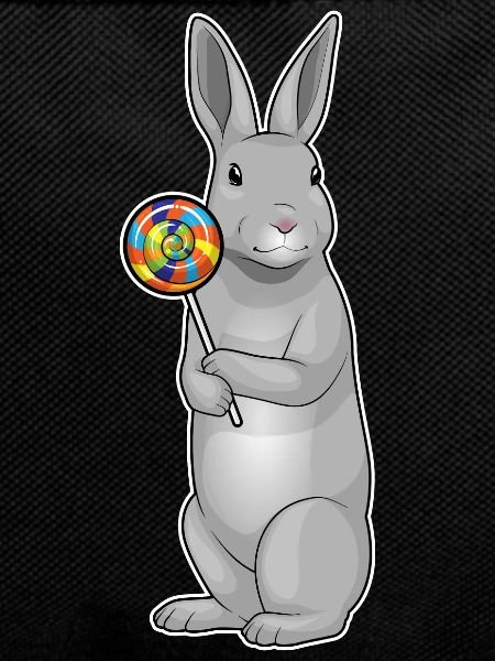 Rabbit lollipop