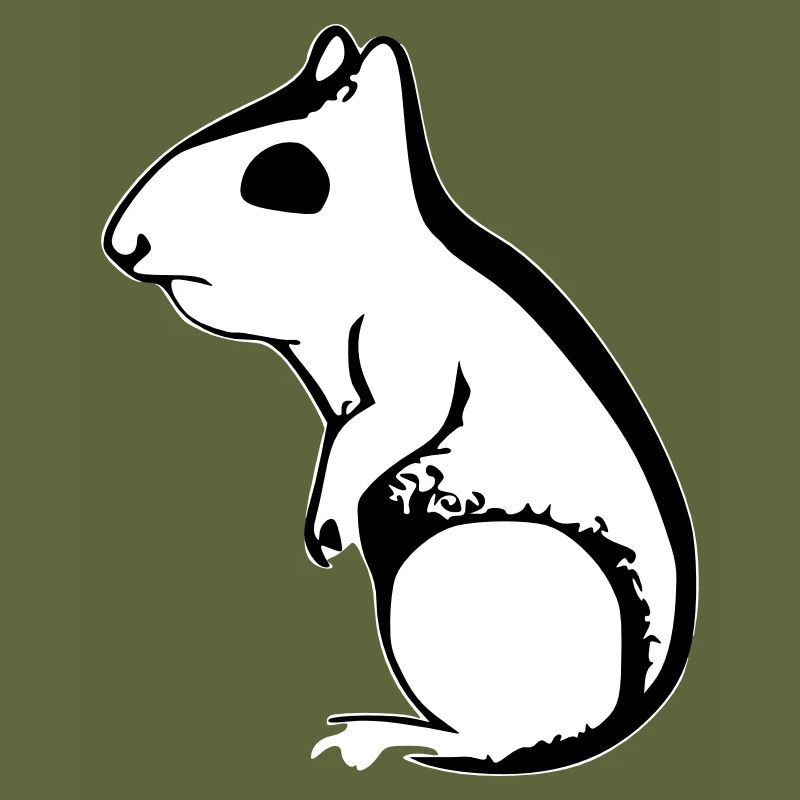 Squirrel Cute Animal Funny Animals Nature Vector 5