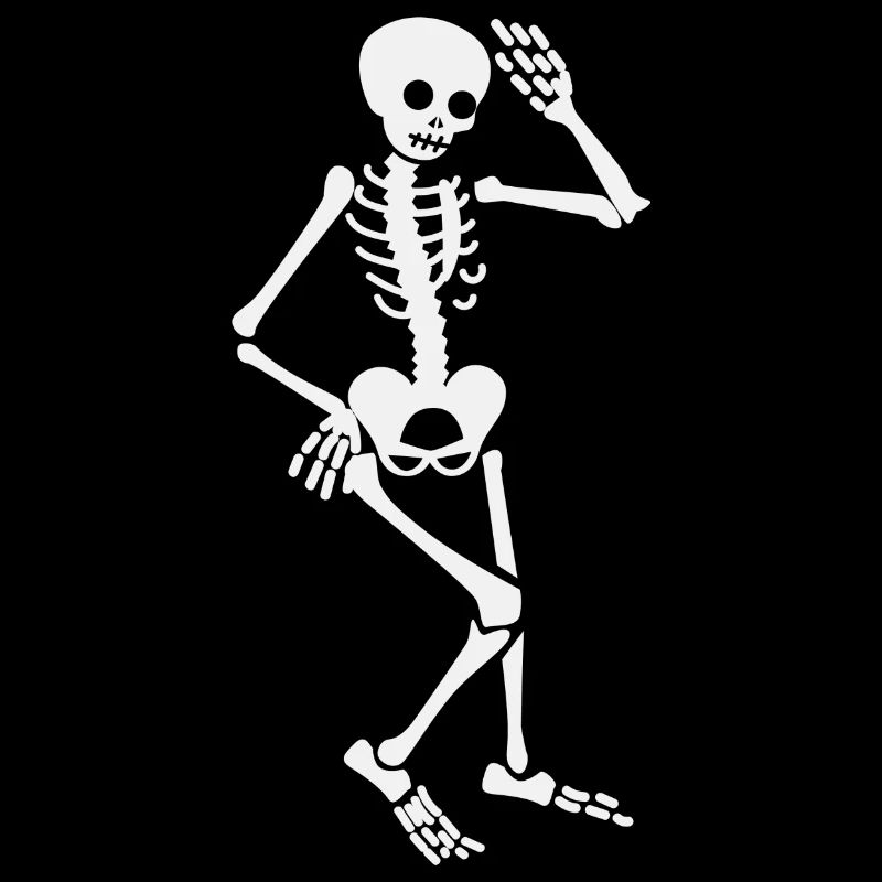 Skeleton - Human Human Biology