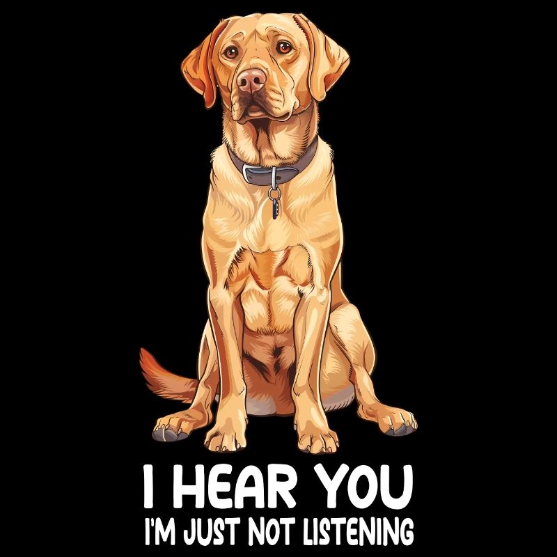 Labrador Retriever