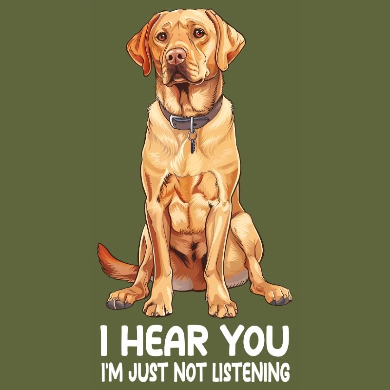 Labrador Retriever