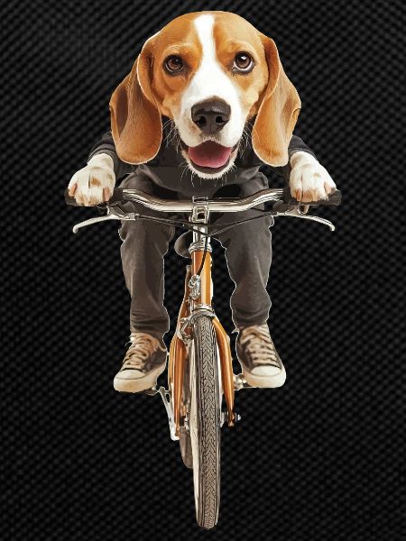 Beagle