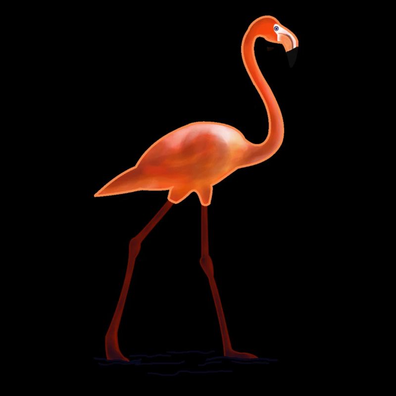 flamingo