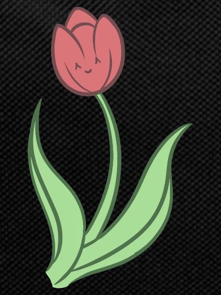 Sweet Tulip