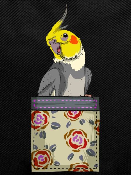 Parrot Bird Breast Pocket Cockatiel