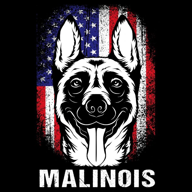 Belgischer Malinois