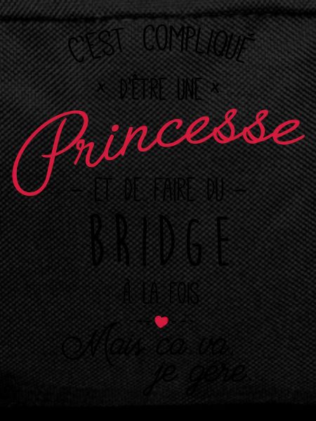 princesse et Bridge