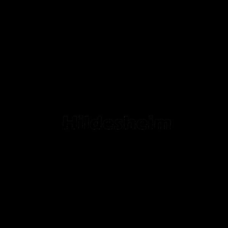 Hildesheim + Skyline