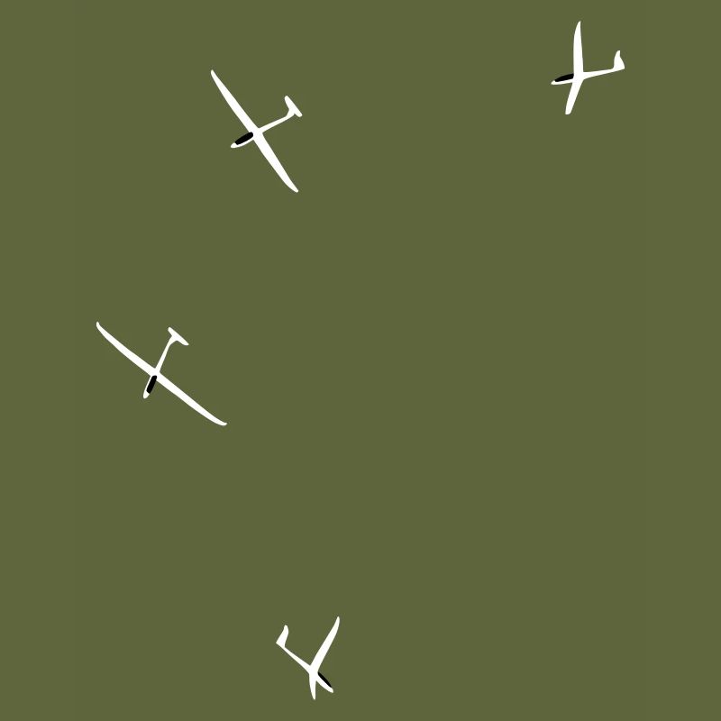 Glider Gliding Gliding Glider