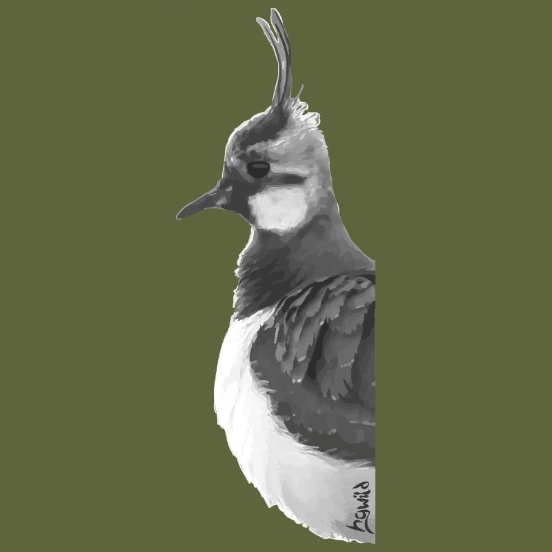 Lapwing Portrait