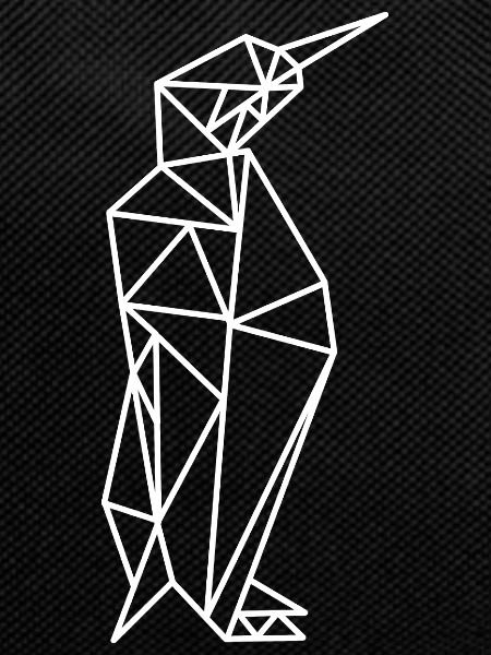 Penguin Geometry Lines