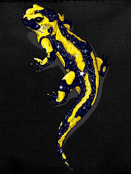 Salamander Nacht