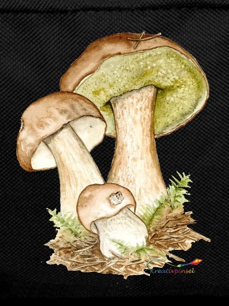 Boletus