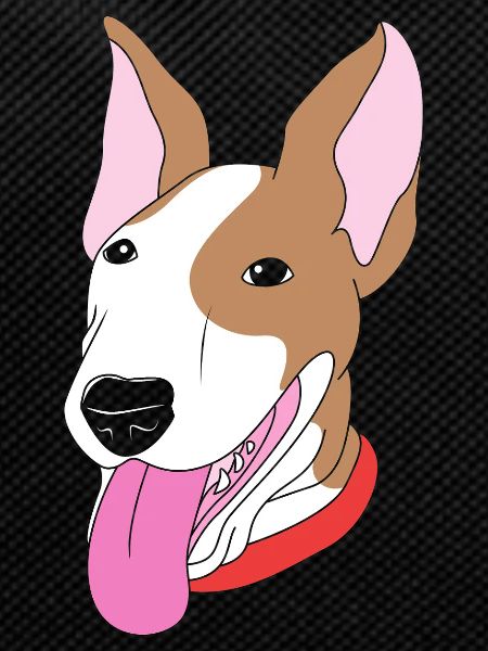 Bull terrier