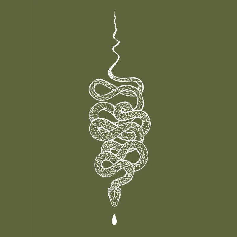 Snake white