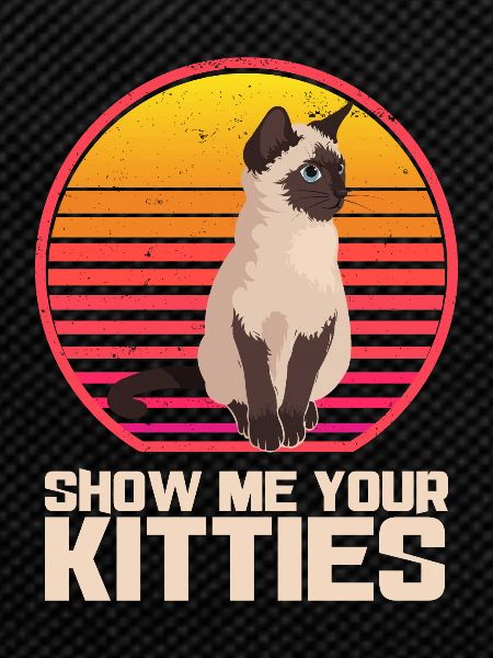 Show me your kittens