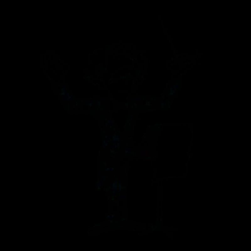 Dirigent