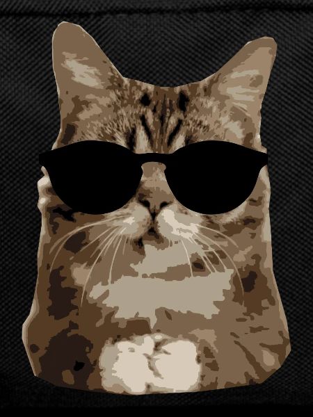 Cat sunglasses "OM"