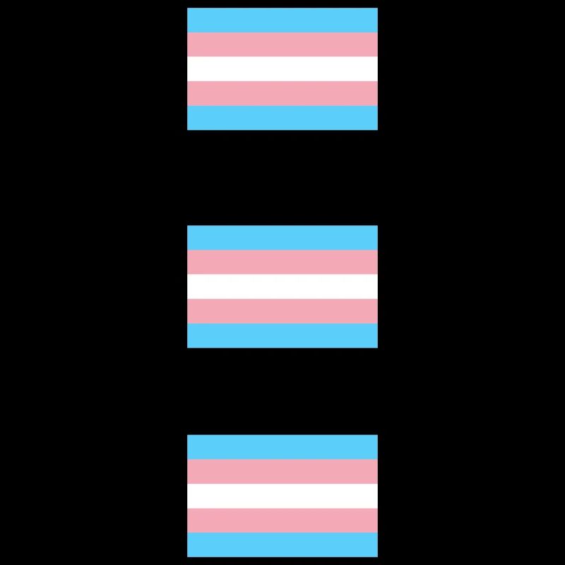 Drapeaux de la Fierté Trans