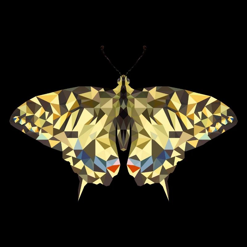 Polygone Papillon – Papillon géométrique