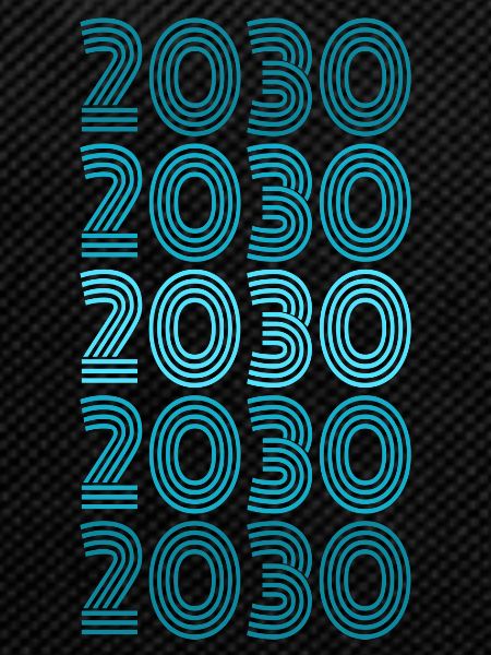 Party 2030