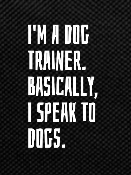 Dog Trainer
