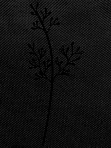 simple wildflower